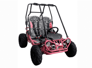 TrailMaster MINI XRX-R+ GoKart